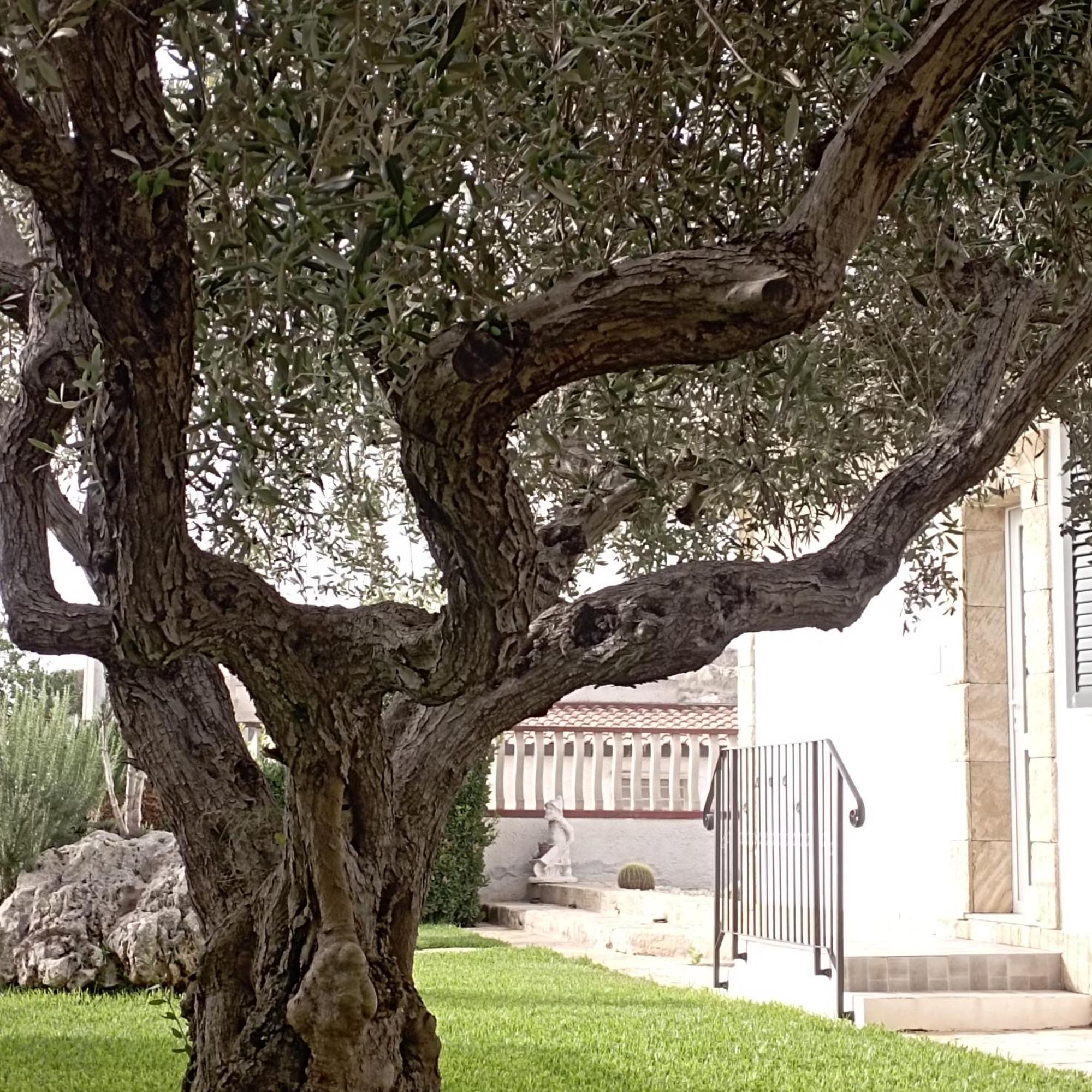 La Casetta Di Viale Paradiso 帕基诺 外观 照片